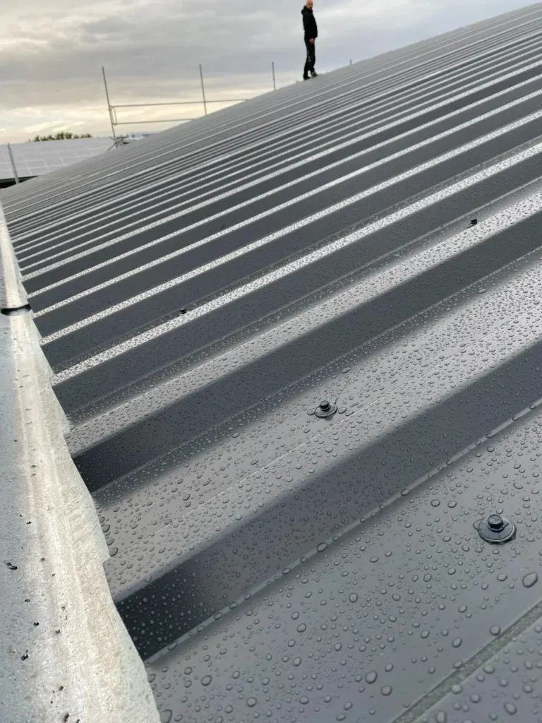 Dachsanierung nach Sturmschaden in Kemnitz 3